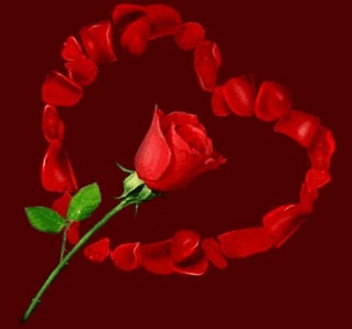 Resultado de imagen de foto de una rosa roja